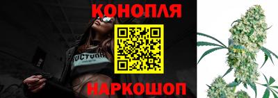 spice Свободный
