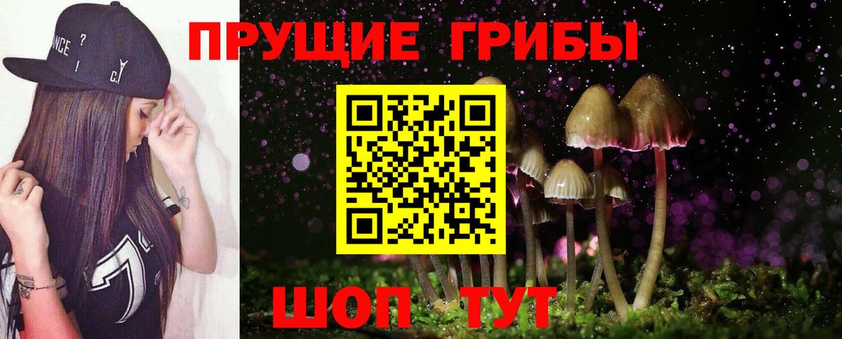 как найти   Вход с VPN  Саранск  Псилоцибиновые грибы MAGIC MUSHROOMS 